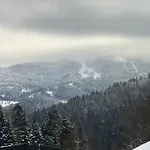 Na Stromym Wzgorzu Z Prywatna Sauna I Balia - Piekny Widok Na Gory 800 M Npm Apartment Szczyrk