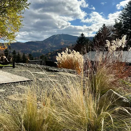 Apartment Na Stromym Wzgorzu Z Prywatna Sauna I Balia Z Widokiem Na Gory 800 M Npm Szczyrk