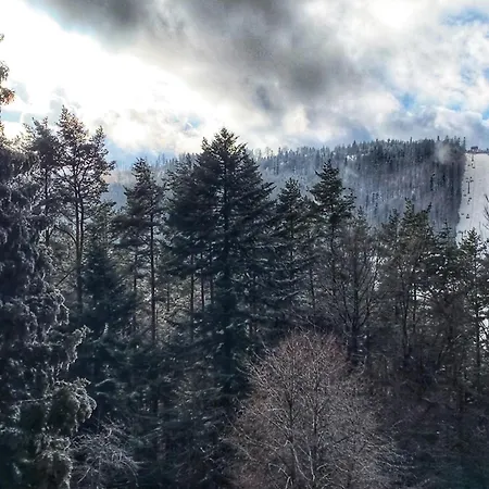 Mountain Luxury - Sauna & Balia Free Z Widokiem Na Gory - W Gorach * Szczyrk
