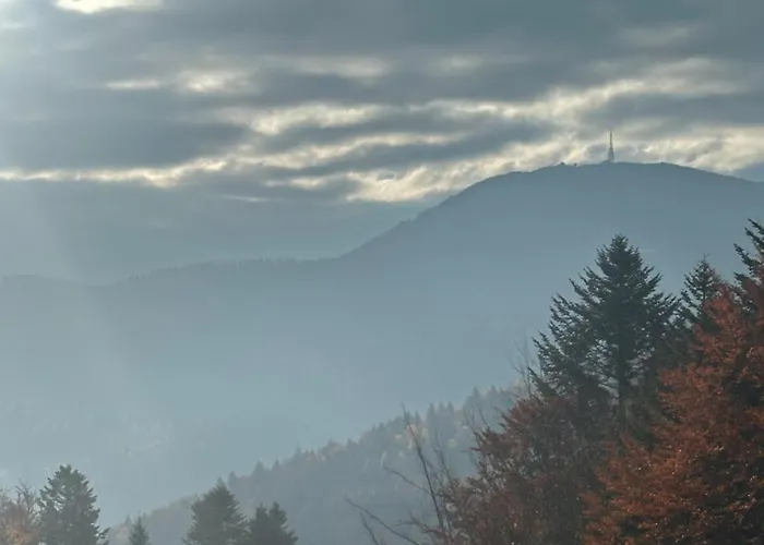 Na Stromym Wzgorzu Z Prywatna Sauna I Balia Z Widokiem Na Gory 800 M Npm