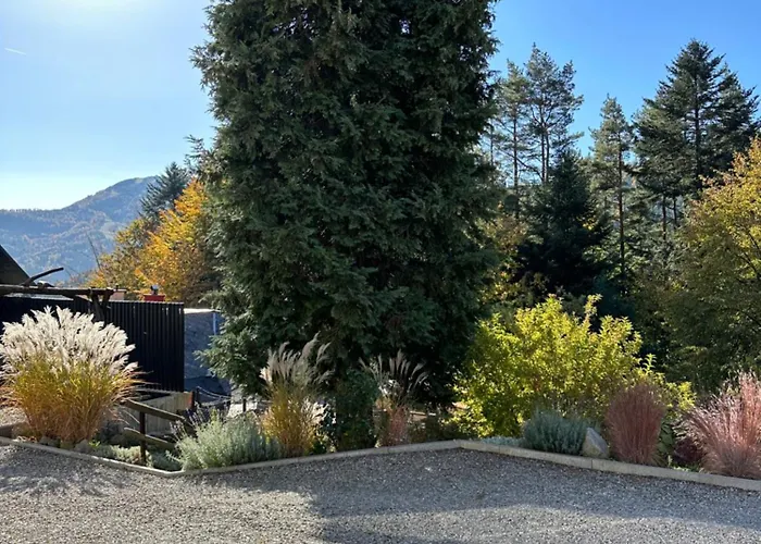 Apartment Na Stromym Wzgorzu Z Prywatna Sauna I Balia Z Widokiem Na Gory 800 M Npm