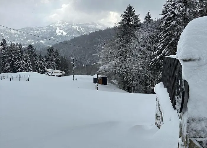 Na Stromym Wzgorzu Z Prywatna Sauna I Balia - Piekny Widok Na Gory 800 M Npm Appartement *