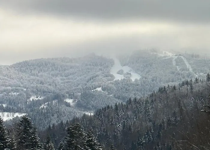 Na Stromym Wzgorzu Z Prywatna Sauna I Balia - Piekny Widok Na Gory 800 M Npm Appartement Szczyrk