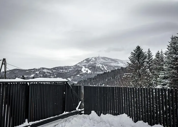 Na Stromym Wzgorzu Z Prywatna Sauna I Balia - Piekny Widok Na Gory 800 M Npm *