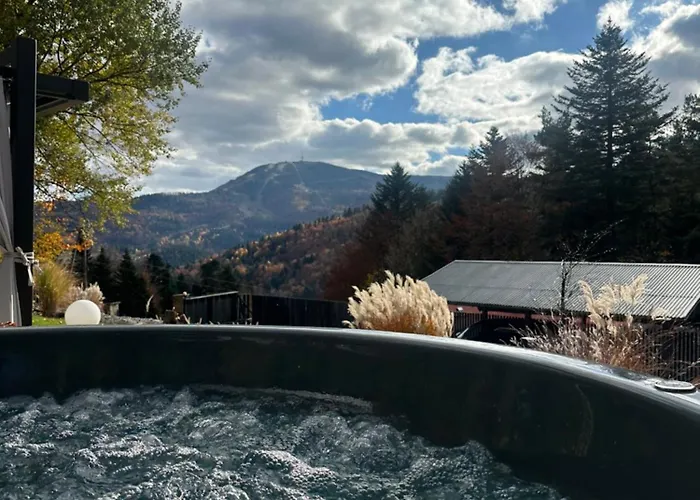 Na Stromym Wzgorzu Z Prywatna Sauna I Balia - Piekny Widok Na Gory 800 M Npm Appartement