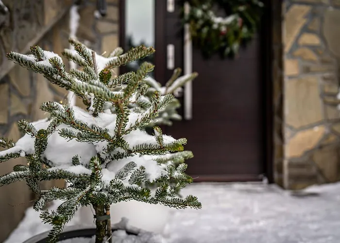 Na Stromym Wzgorzu Z Prywatna Sauna I Balia Z Widokiem Na Gory 800 M Npm Apartment *