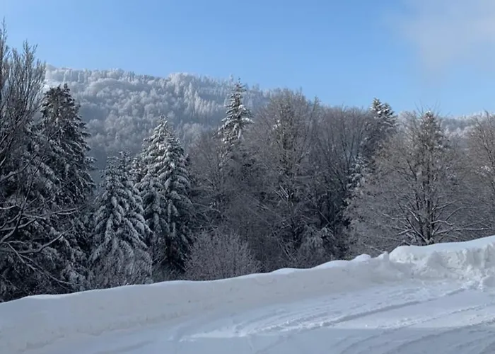 Appartement Na Stromym Wzgorzu Z Prywatna Sauna I Balia - Piekny Widok Na Gory 800 M Npm *