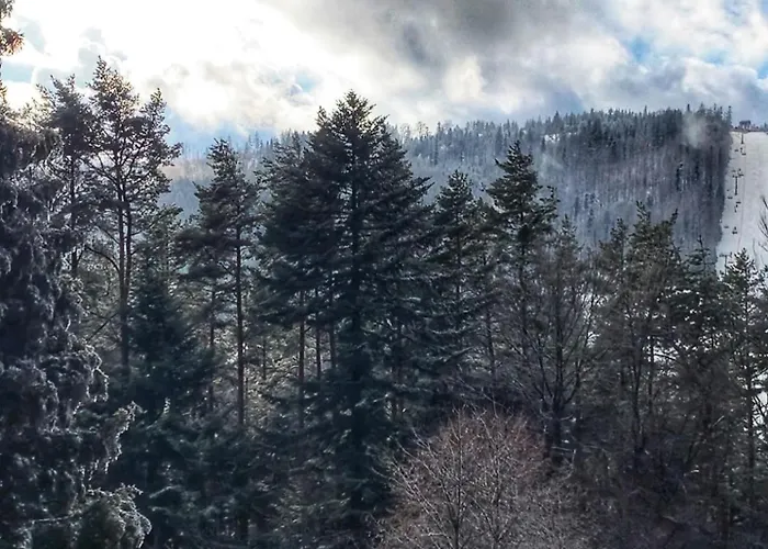 Na Stromym Wzgorzu Z Prywatna Sauna I Balia Z Widokiem Na Gory 800 M Npm * Szczyrk